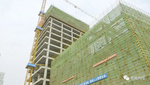 黃陂區(qū)融媒體中心大樓主體工程順利封頂，二期建設(shè)即將全面展開